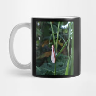 Ghost Butterfly Mug